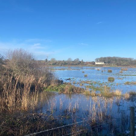 The Lodge On The Marsh Brading Bagian luar foto