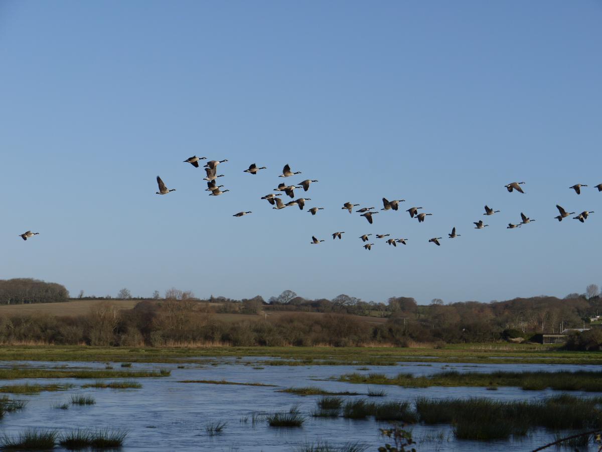 The Lodge On The Marsh Brading Bagian luar foto