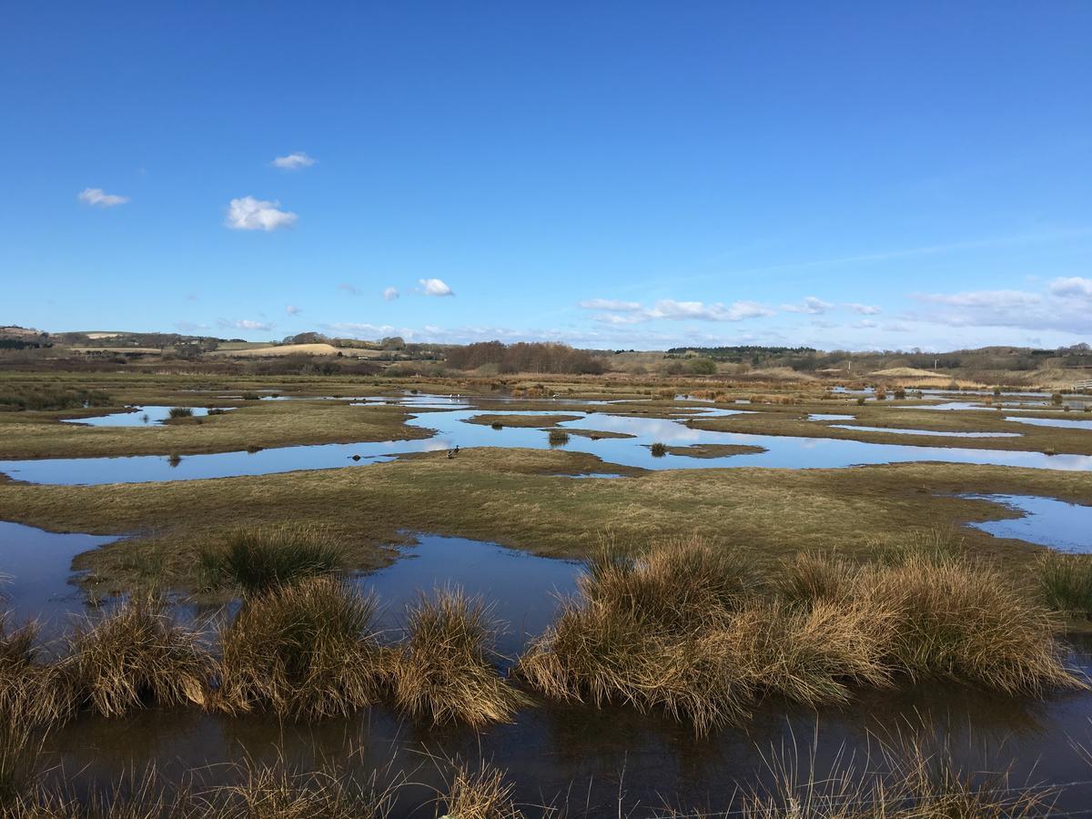 The Lodge On The Marsh Brading Bagian luar foto